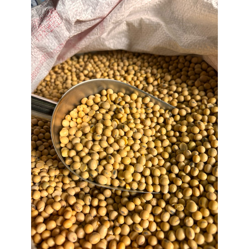 

Kacang kedelai import berat 5 kg