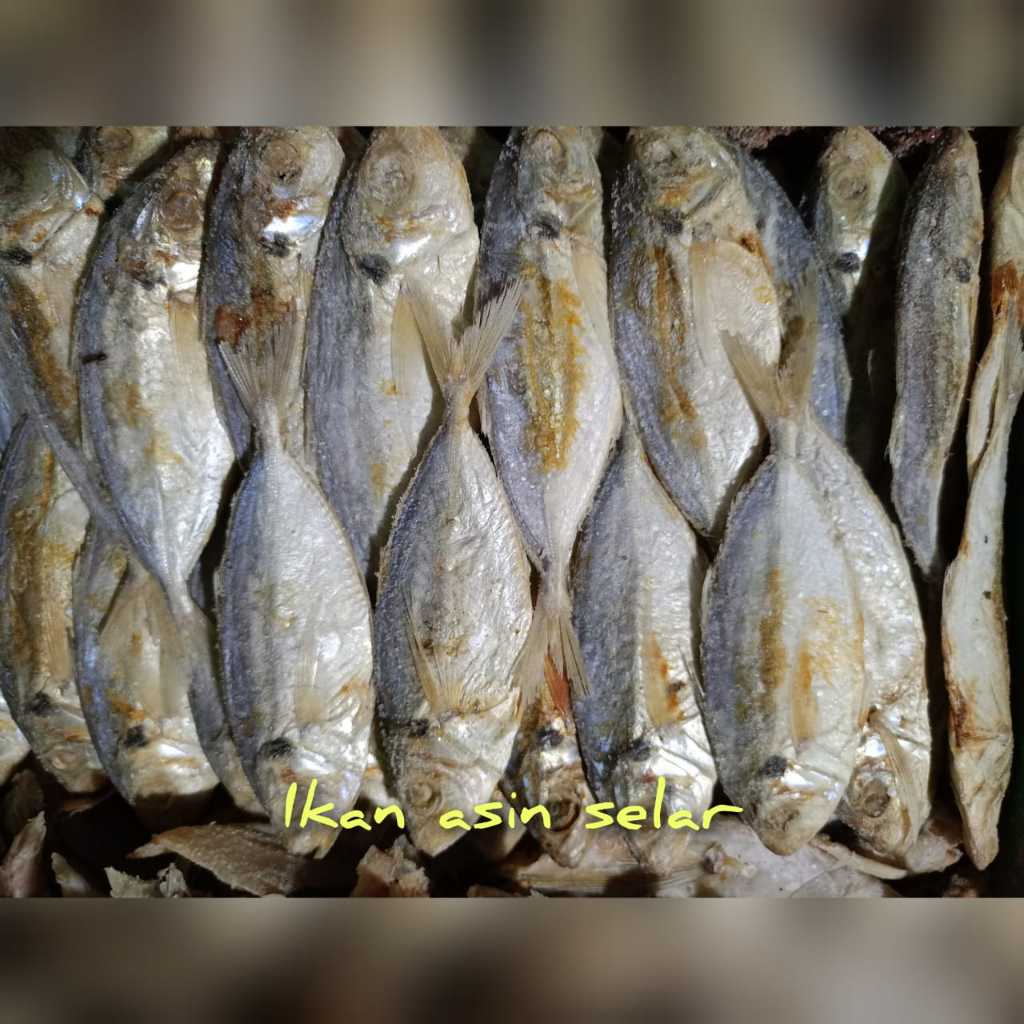

Ikan Asin Selar Asli Termurah Dan Kualitas Terbaik