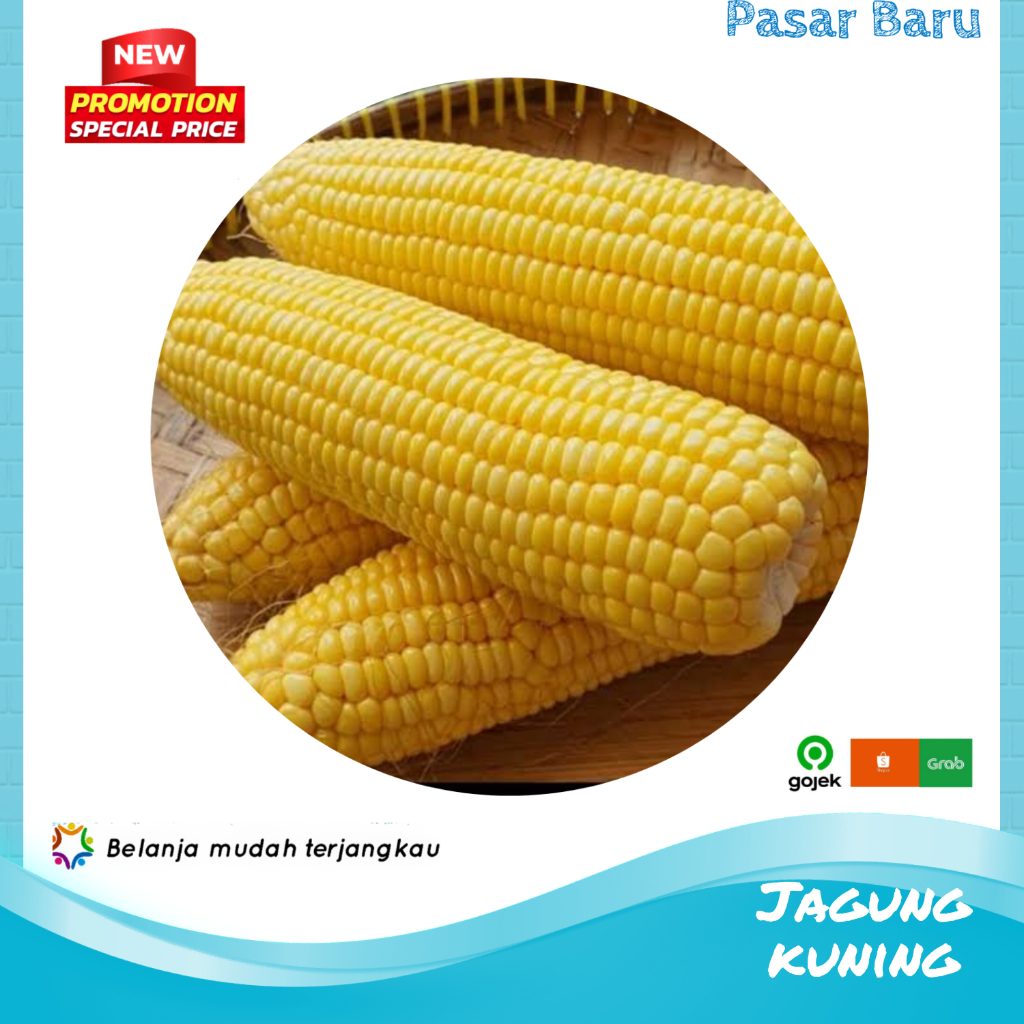 

Jagung Kuning • 1Biji ✓ Murah | Pasar Baru Makassar