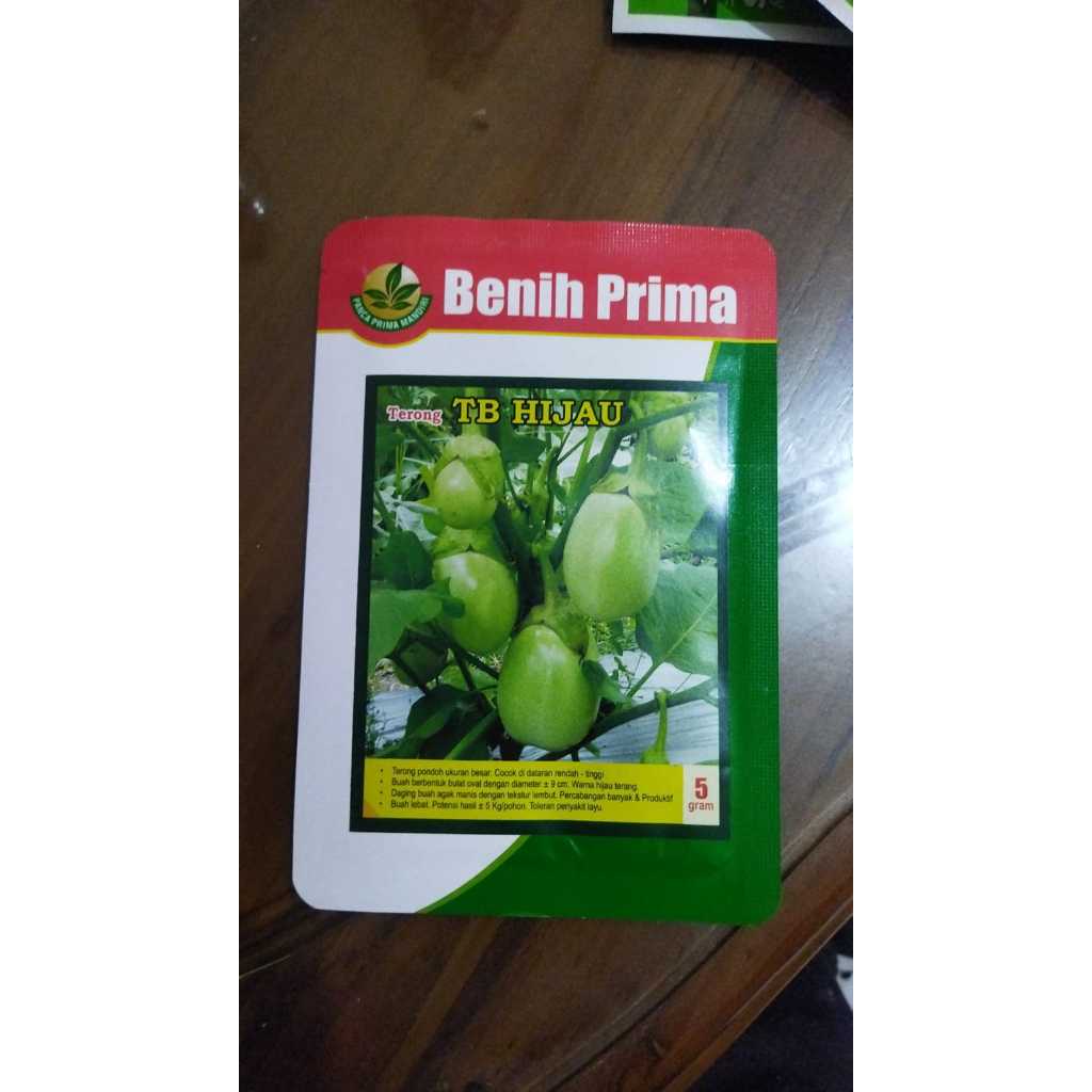 

benih terong bulat tb hijau