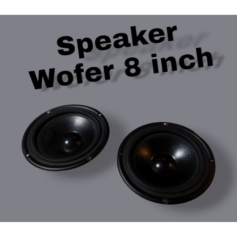 Speaker 8 inch Wofer Bekas / Copotan
