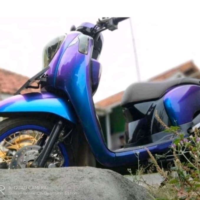 

Cat Bunglon Chameleon 3 Warna Pu Blue Purpel Red