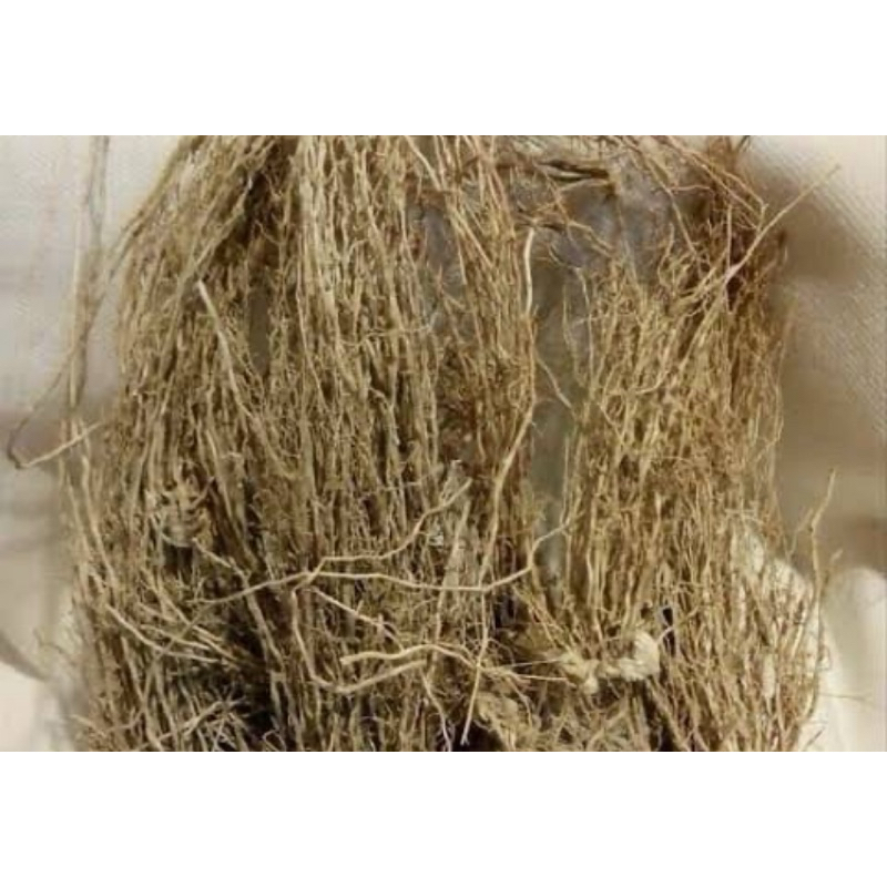 

Akar bandotan kering 500 gram natural-az