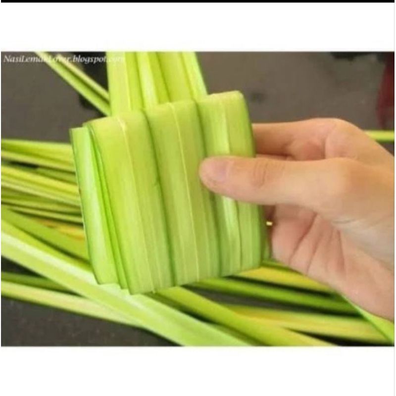 

Daun Kelapa Muda Bahan Cangkang Ketupat Lebaran