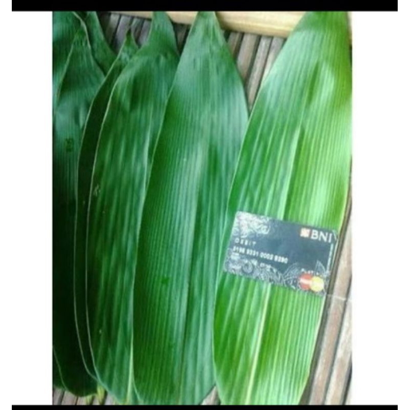 

DAUN BAMBU UKURAN BESAR UNTUK BUNGKUS BAKCANG