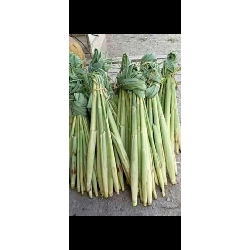 

sayur turubuk mantul mantappp betulll isi 10 biji