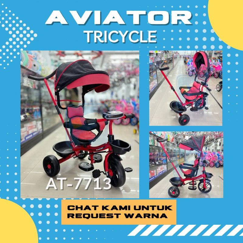 Tricycle Aviator AT 115 / 7713