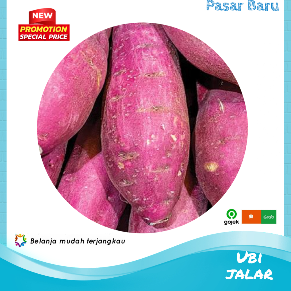 

Ubi Jalar • Murah | Pasar Baru Makassar
