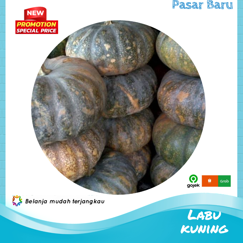 

Labu Kuning • Murah | Pasar Baru Makassar