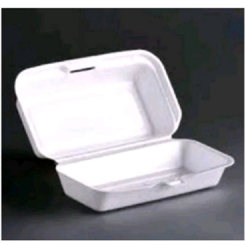 sterofoam makanan/kotak makan sterofoam/piring sterofoam/kotak bungkus makanan sterofoam