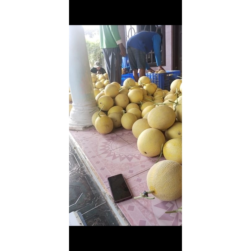 

melon inthanon