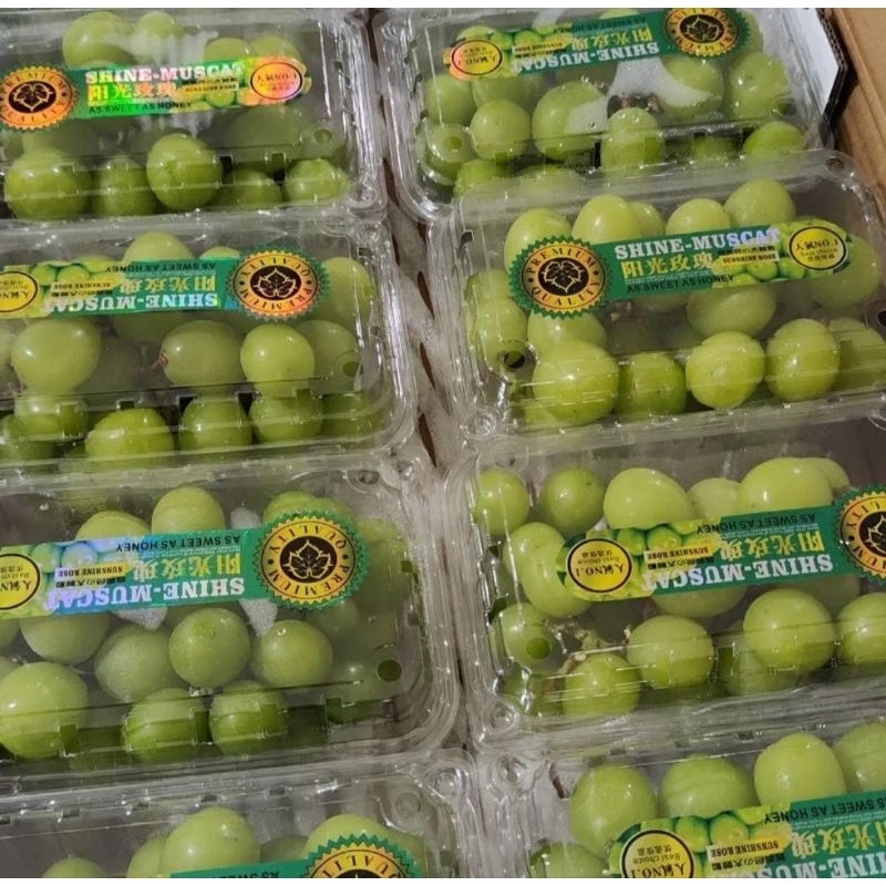 

Anggur Shine Muscat Green