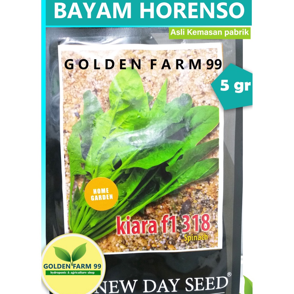 MURAH MERIAH Benih bayam horenso jepang KIARA F1 318 Spinach New day seed