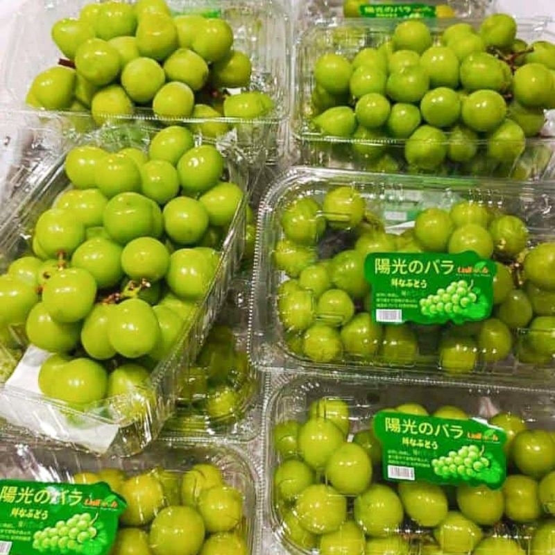 

Anggur Import Shine Muscat Pack