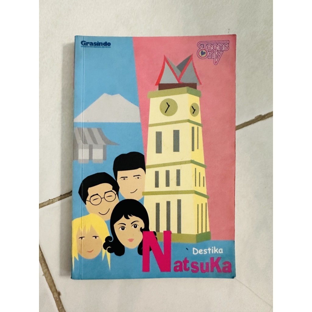 Buku Bacaan Novel Remaja Destika Natsuka Teens Only