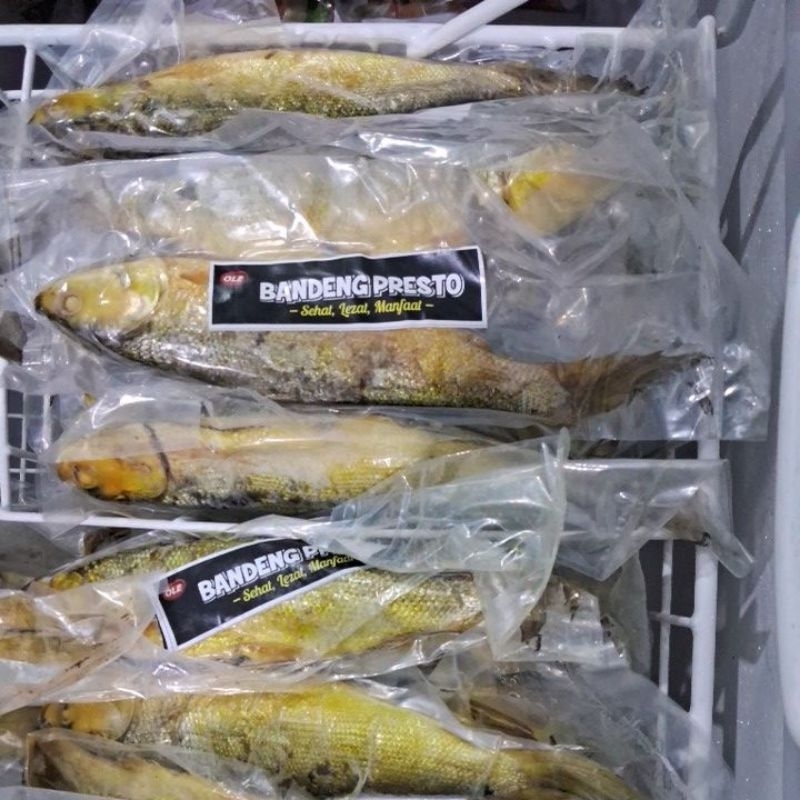 

OLE bandeng presto 1 ekor