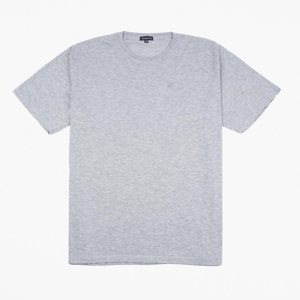 Dailyoutfits T-Shirt Combed Grey Misty