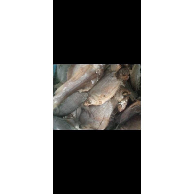

ikan asin