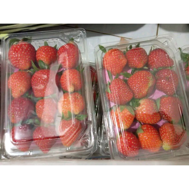 

STROBERRY /MIKA 25RB