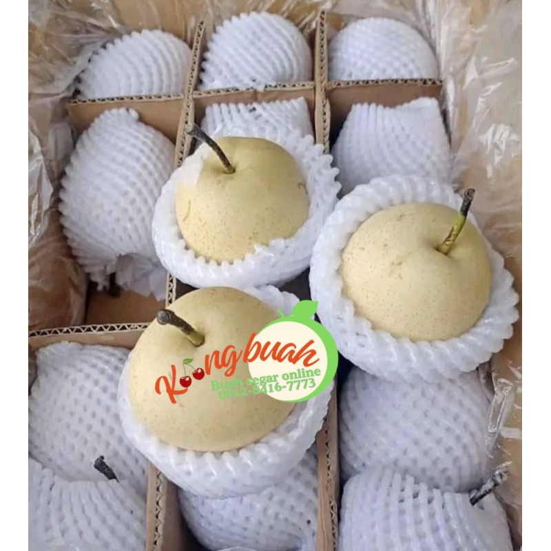 

Promo Pear/Pir Century Madu