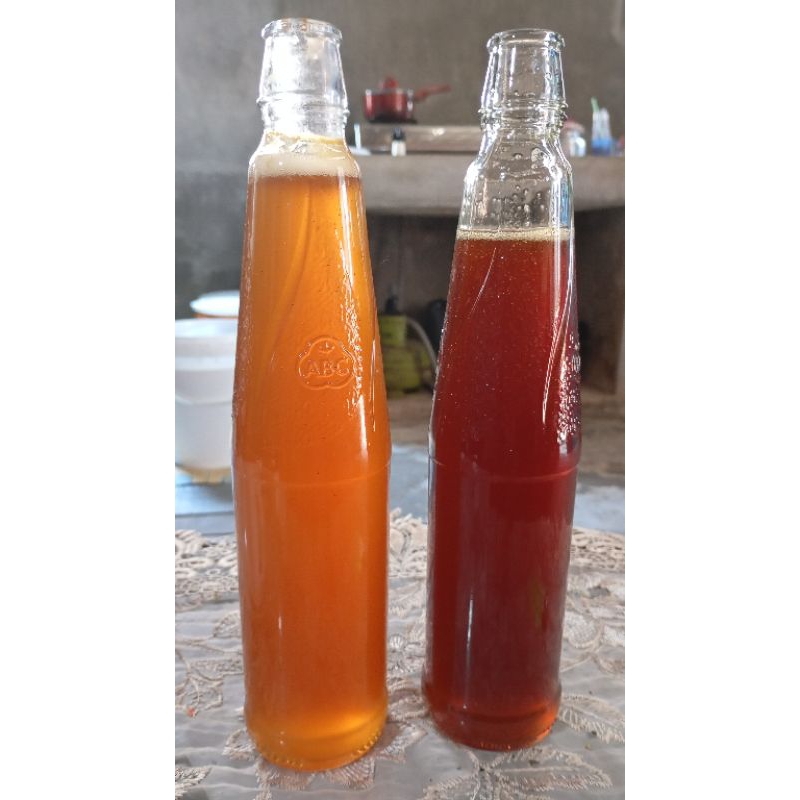 

madu alam hutan kalimantan