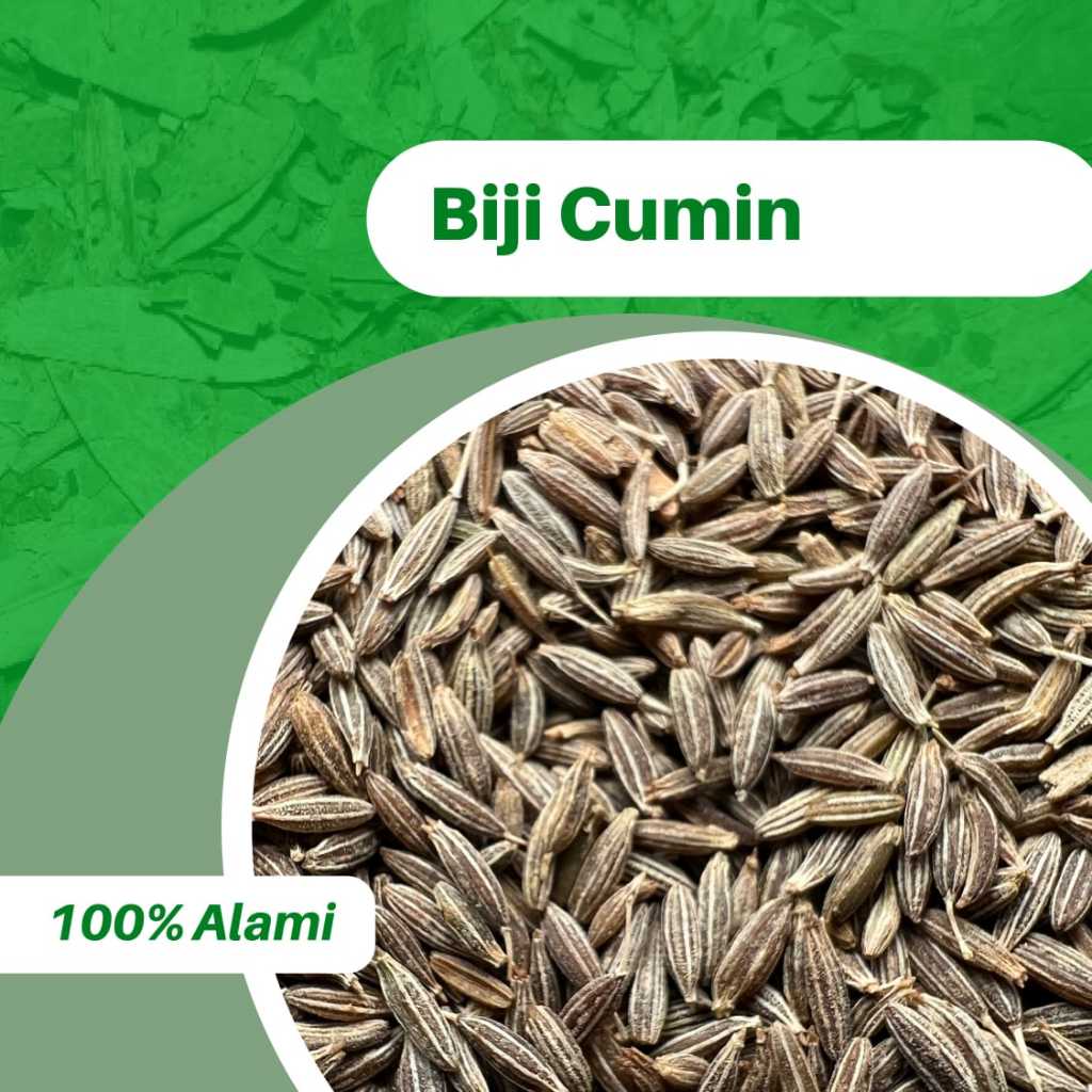 

1KG CUMIN SEED 100% ASLI