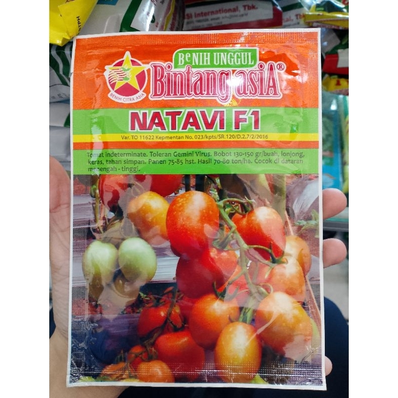 benih tomat bintang asia natavi f1 5 gram