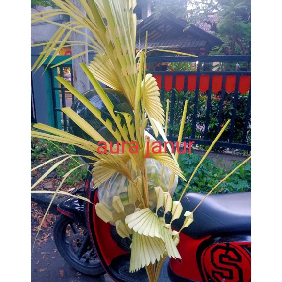 KODE F14S Janur PenandaBeli 2 bonus print nama bli 3 bonus nama 3Janur SUNATAN PERNIKAHAN janur keci