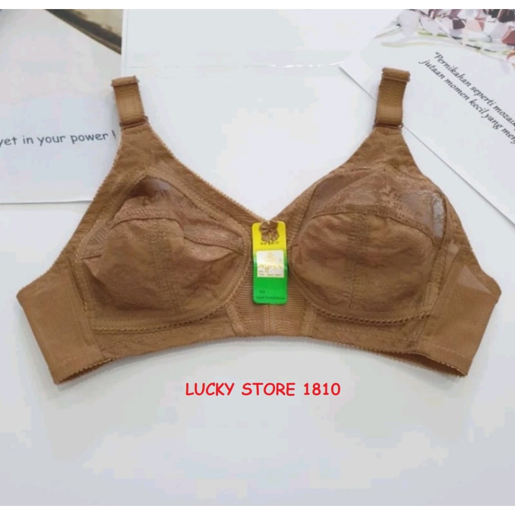 BH BRUKAT SISTER MERK AGREE 099 CUP BESAR / BRA AGREE MIRIP SISTER TRANSPARAN / BH TANPA KAWAT