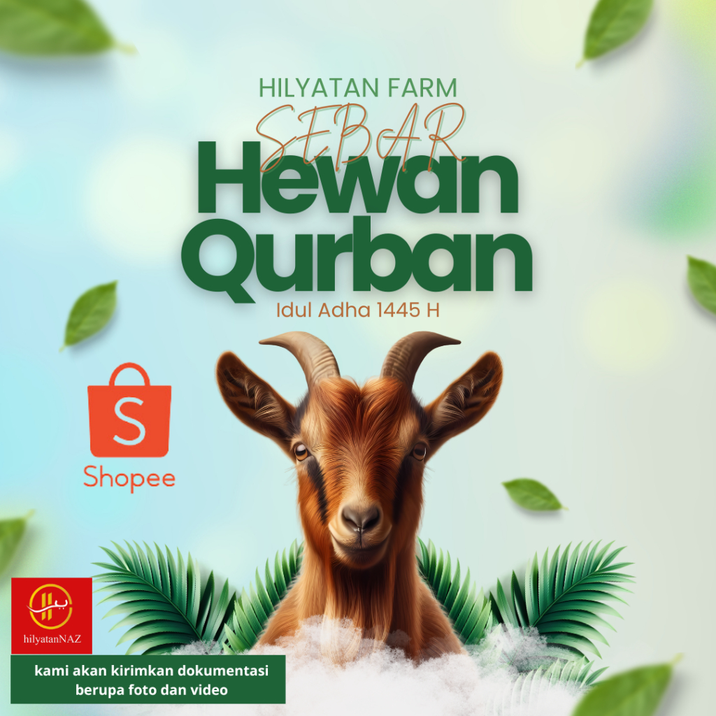 domba kurban kambing qurban sosial 2025