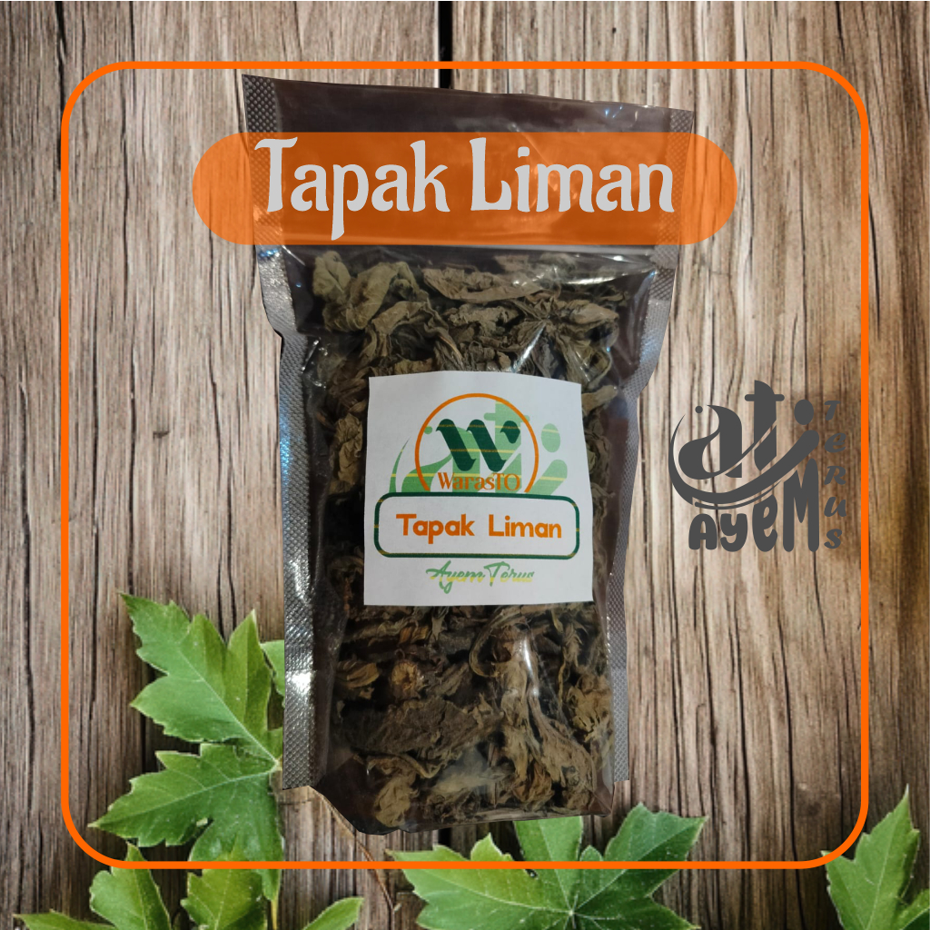 

Tapak Liman Kering Berkhasiat