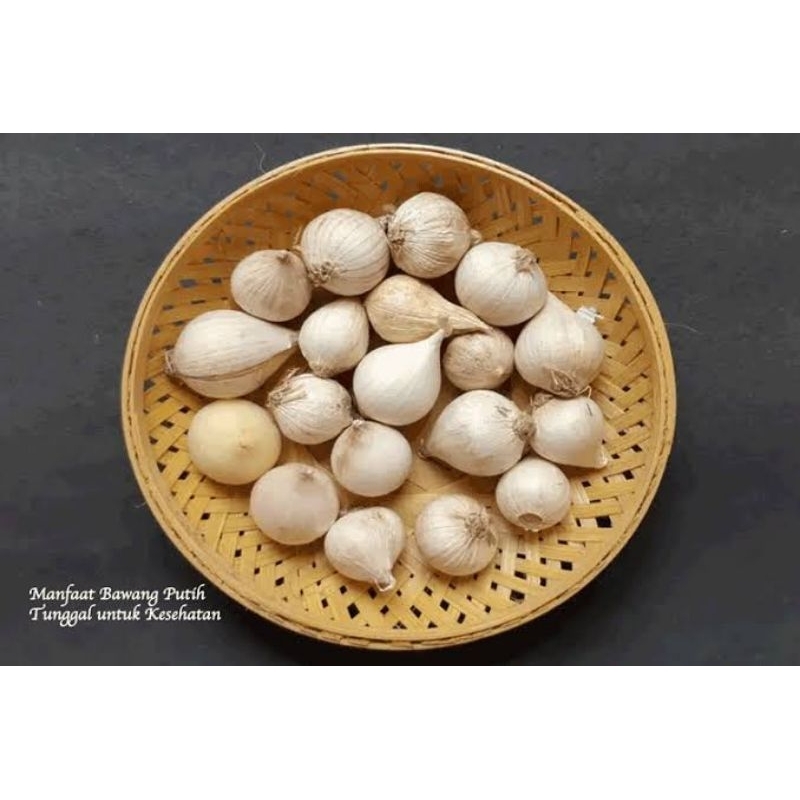 

BAWANG-TUNGGAL-UKURAN-BESAR-berat-1kg