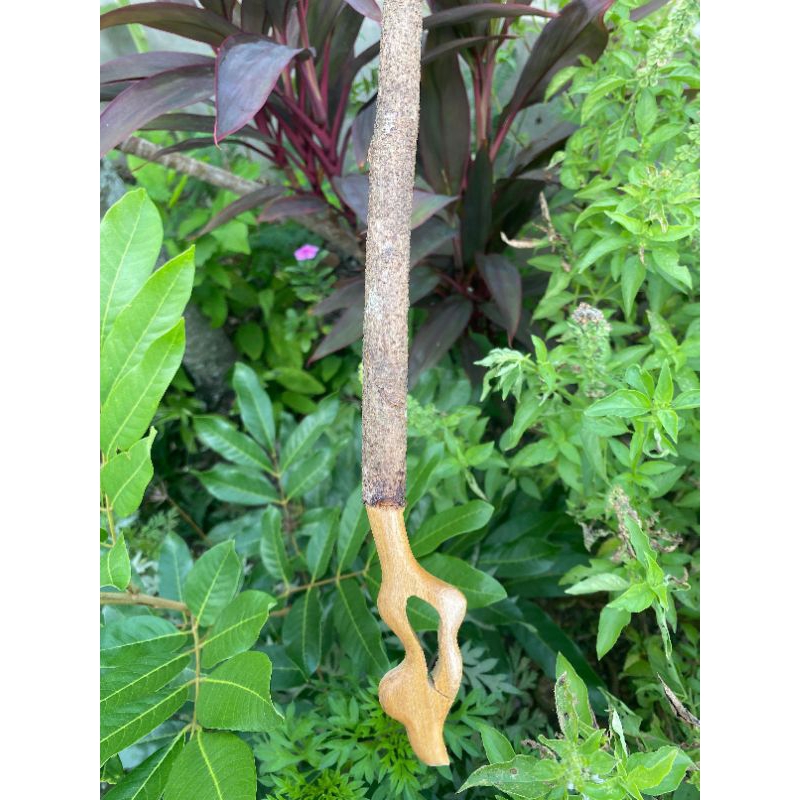 TANGKRINGAN BURUNG MURAI GAWANG ASEM BALI ORIGINAL