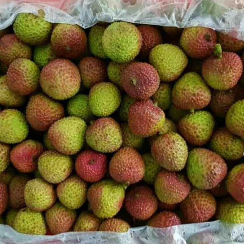 

Leci madu 1,5 kilo