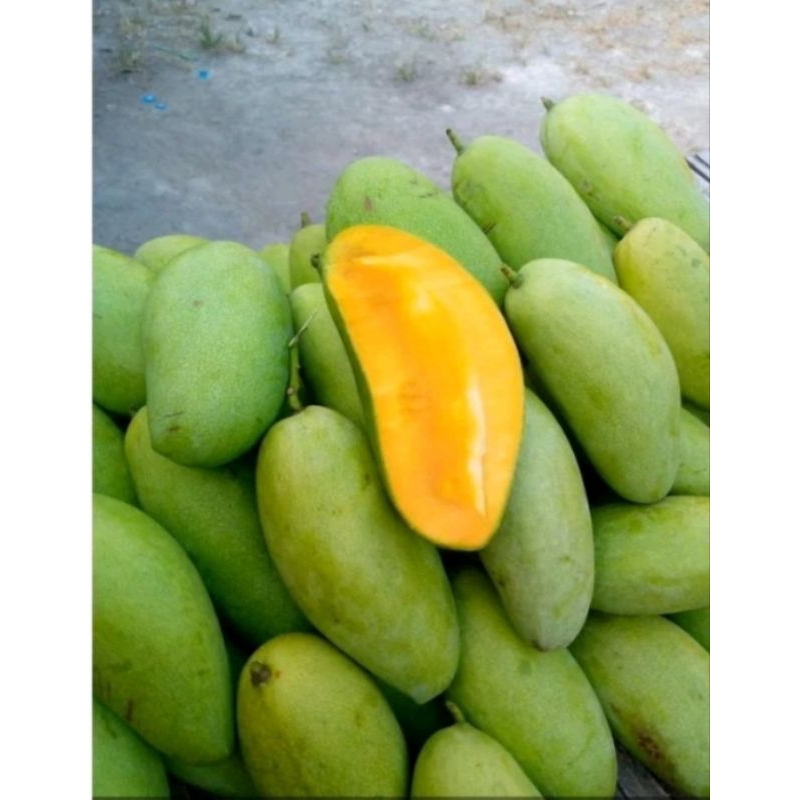 

mangga golek manis 1kg