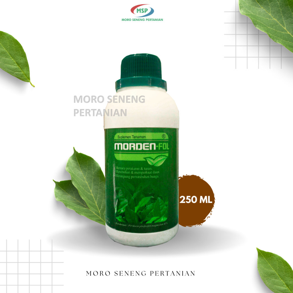 Morden Foll 250 ml