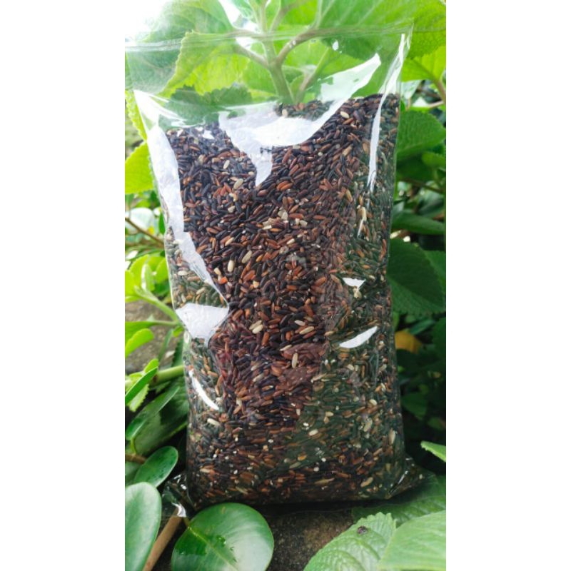 

Beras hitam