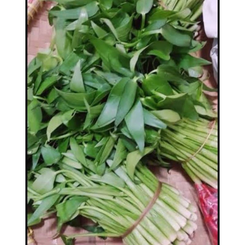 Daun eceng sayur / daun eceng sawah segar 1 kg