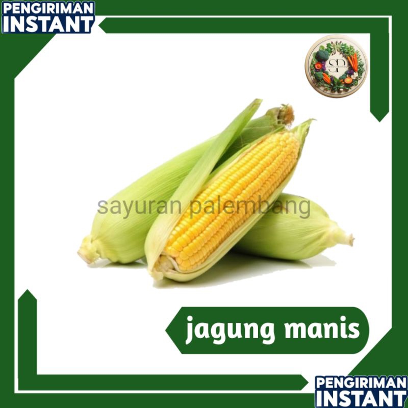 

jagung manis - sayuran palembang