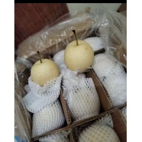 

pir century manis renyah 1kg
