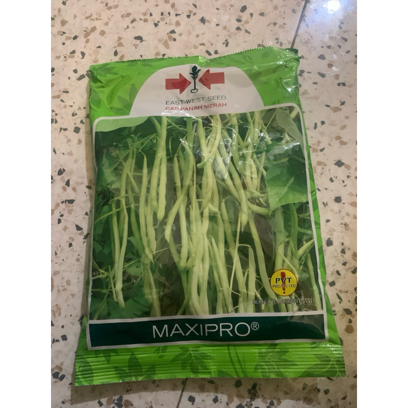 

BUNCIS MAXIPRO 100% ORIGINAL