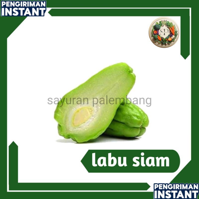 

labu siam - sayuran palembang
