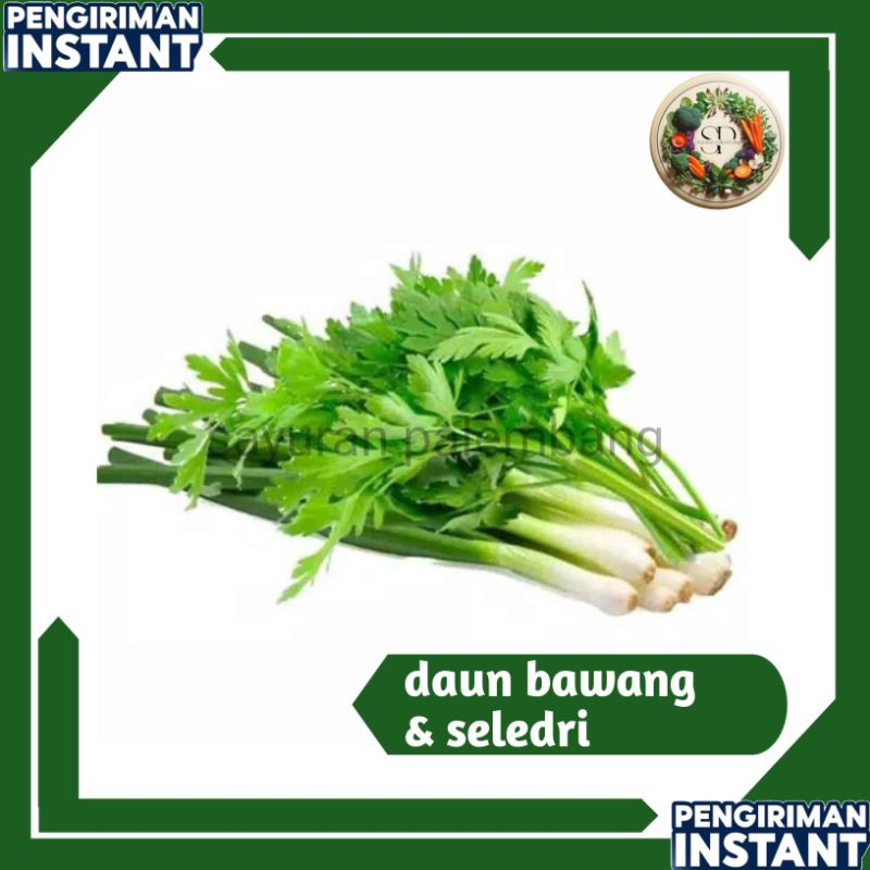 

daun seledri dan bawang per ikat - sayuran palembang