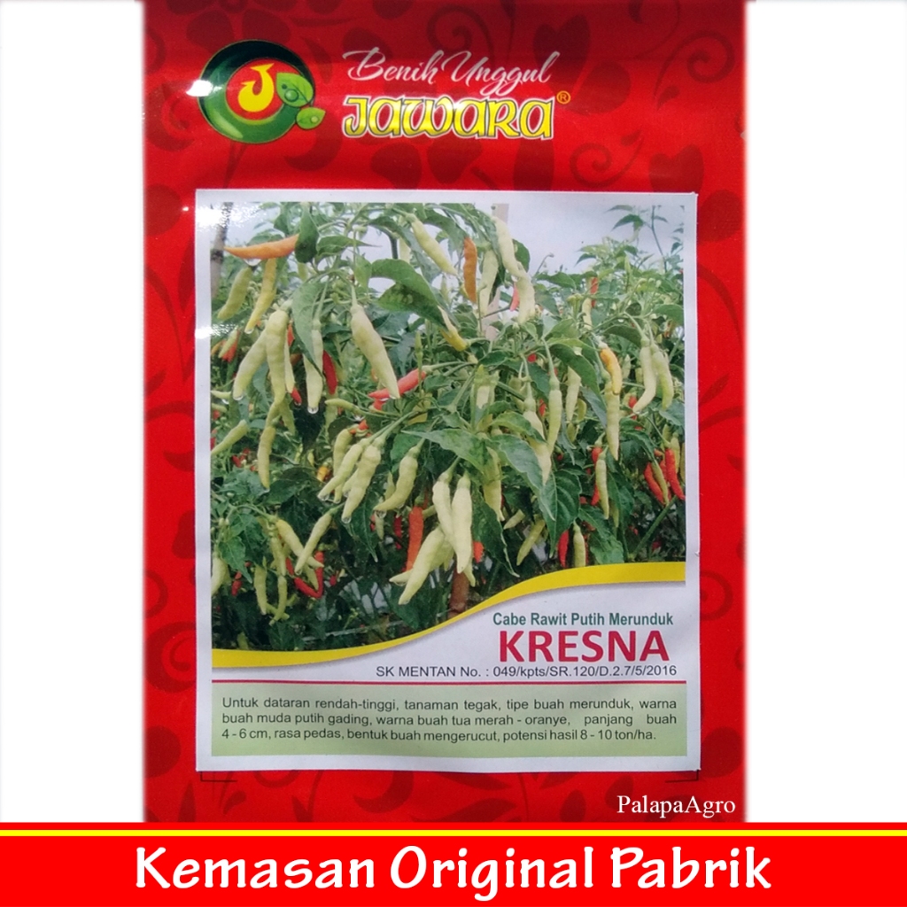 cabe rawit = benih cabe rawit super unggul kresna 10gr bibit unggul cabe rawit