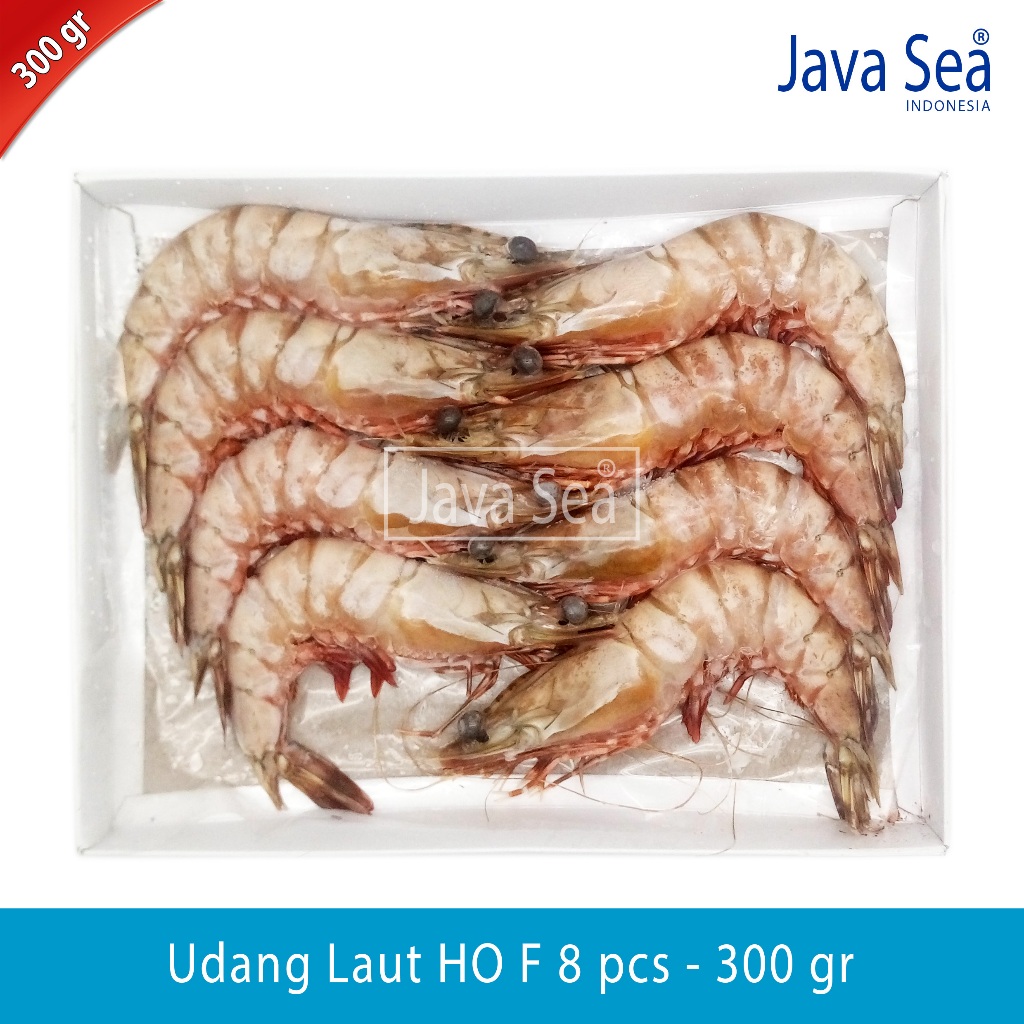 

Udang Laut Utuh Ada Kepala HO F-8 pack 300gr Java Sea
