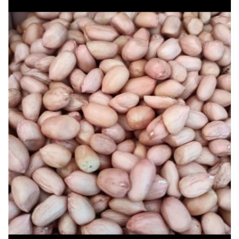 

kacang tanah 1 kg