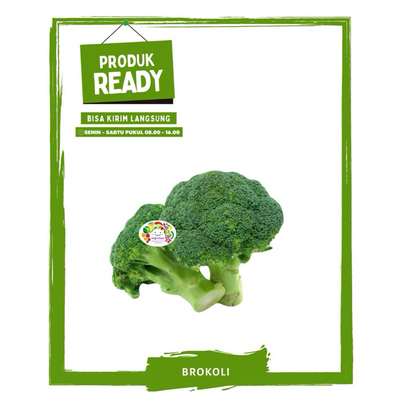 

Brokoli / Sayur Sayuran Segar Ready On Mallahrizwa