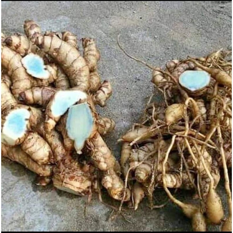 

temu ireng segar 1 kg