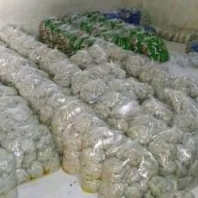 

Otak Otak Kiloan Ikan Tengiri 1kg Fresh dari Produsen Langsung