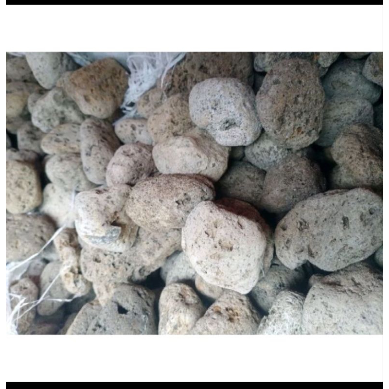 BATU APUNG 1KG MEDIA FILTER AQUARIUM KOLAM